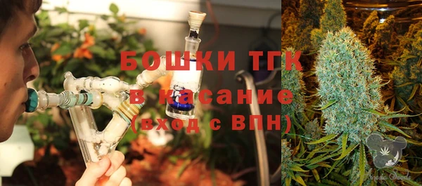 стаф Алексеевка