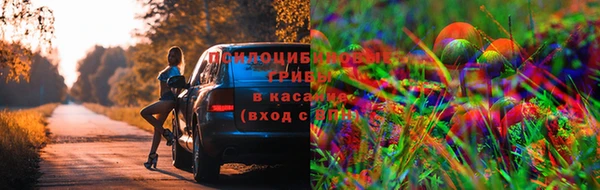 гидропоника Алзамай