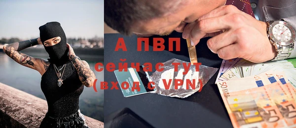 ECSTASY Михайлов